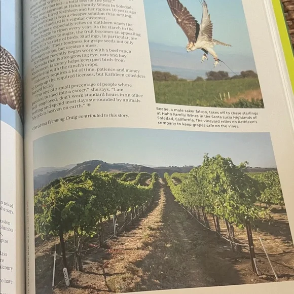 #0969**Sunflower Themed Home Accent Book - Picture 7 of 14